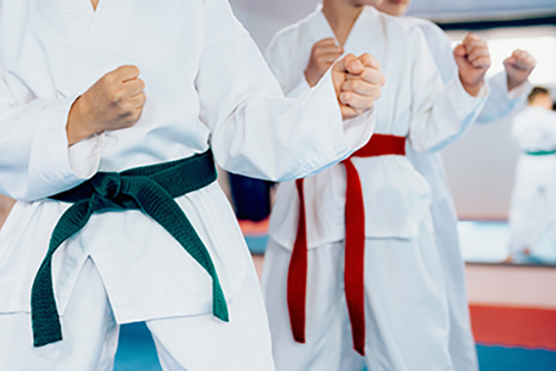 Tipos de karate: ¿Cuál se adapta mejor a mi hijo?