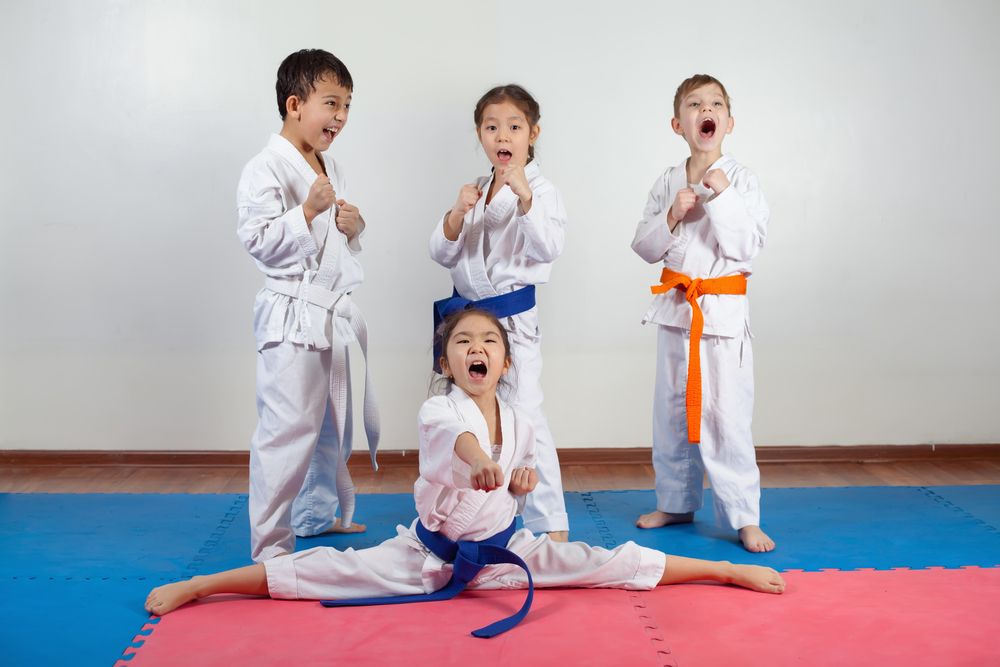 Artes marciales para combatir el bullying