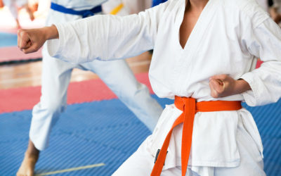 El significado de las artes marciales