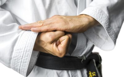 Los principios morales del karate