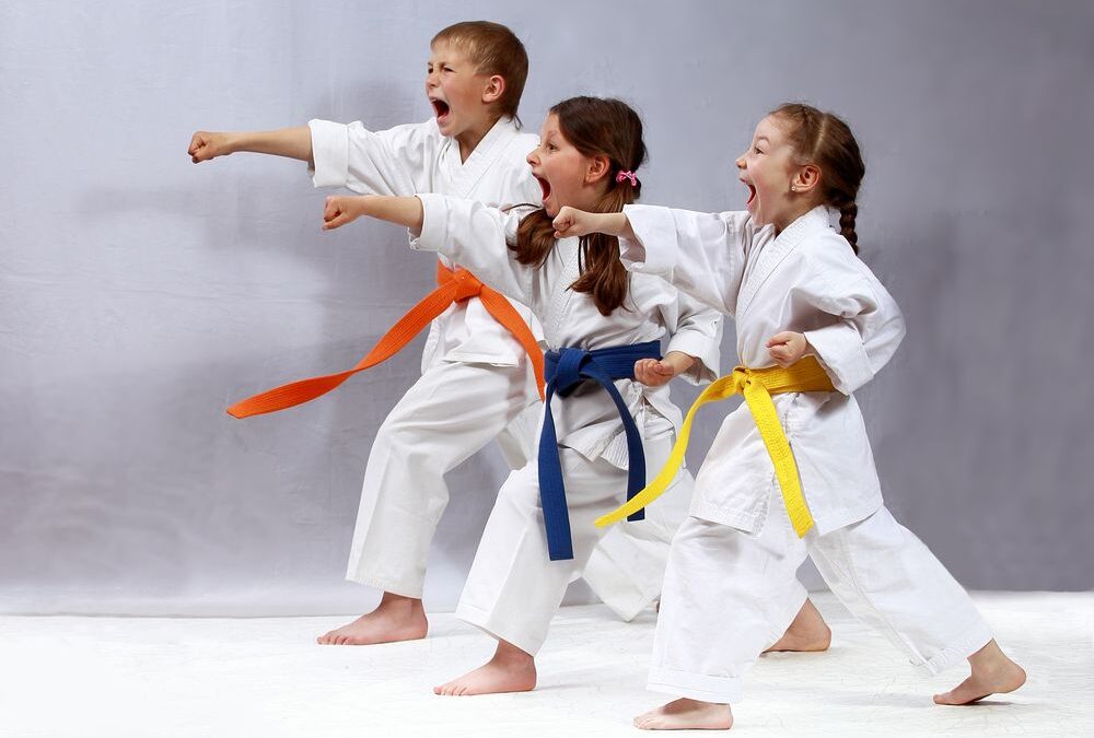 ¿Qué aprenden los niños en karate?