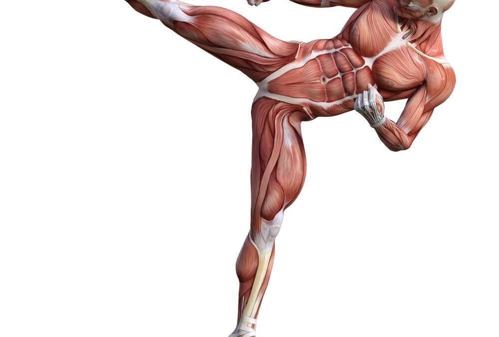 ¿Qué músculos trabajas con el karate?