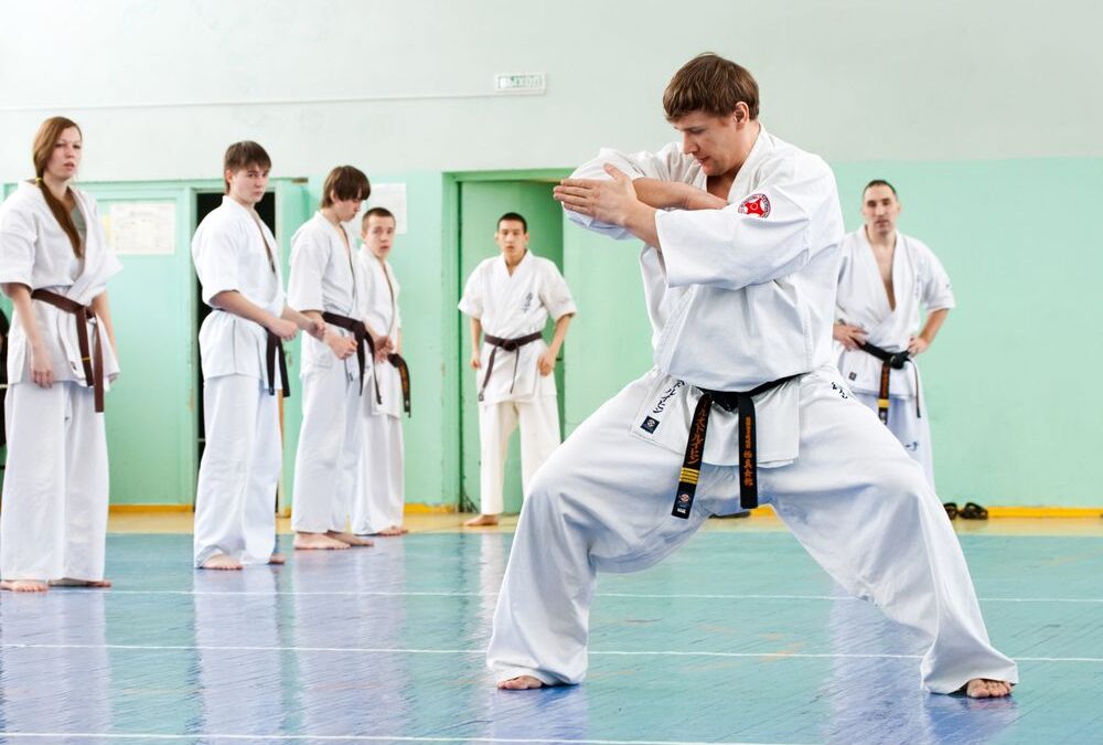 guía de artes marciales